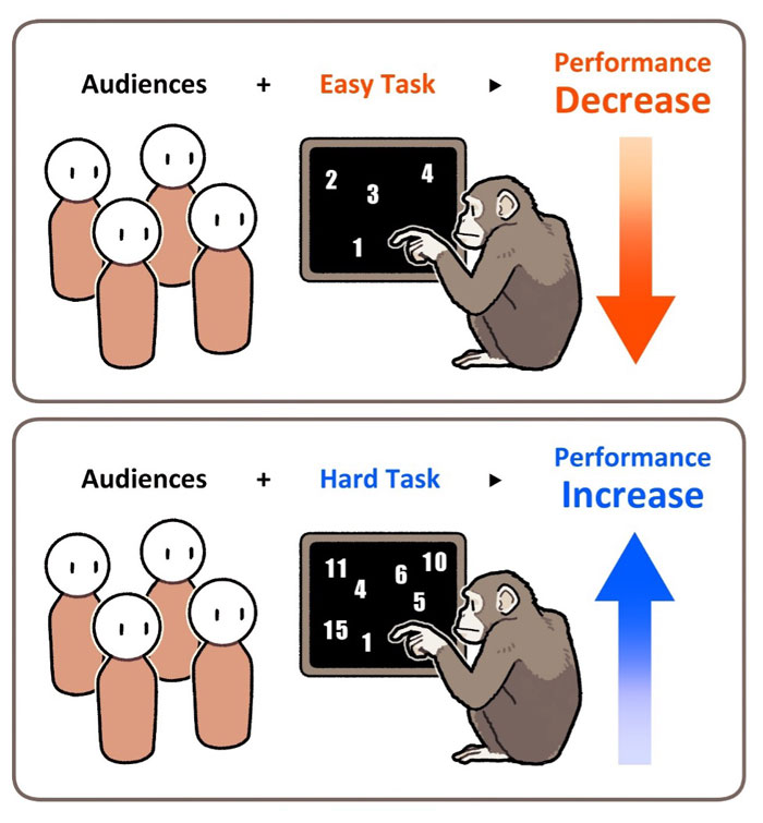 文章を入れてください