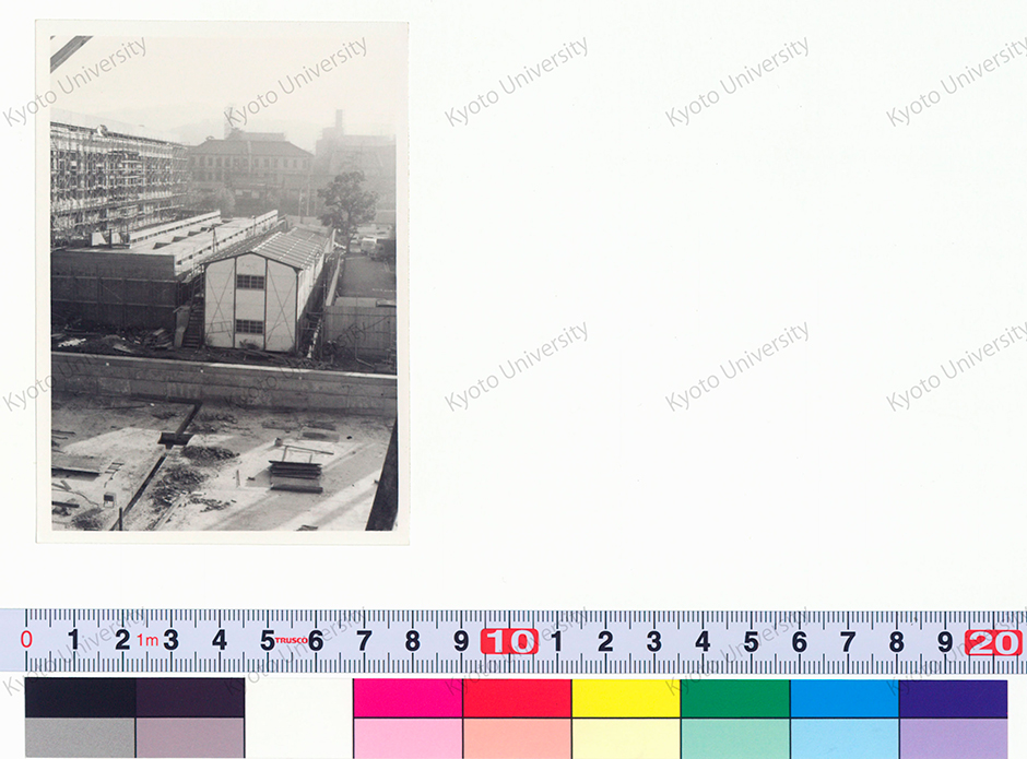 文章を入れてください