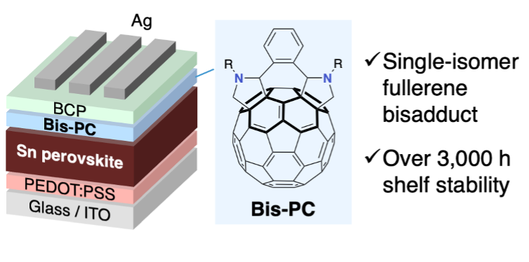 文章を入れてください