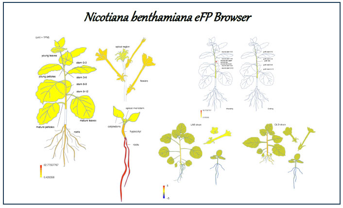 文章を入れてください