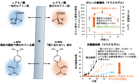 文章を入れてください