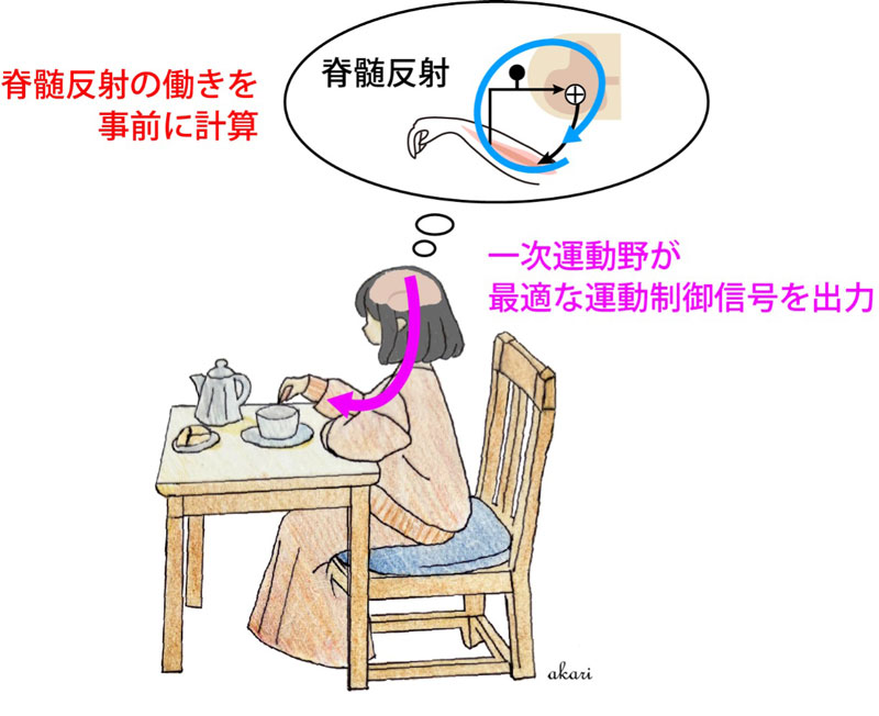 文章を入れてください