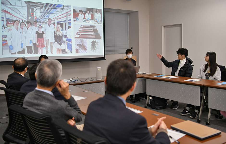 文章を入れてください