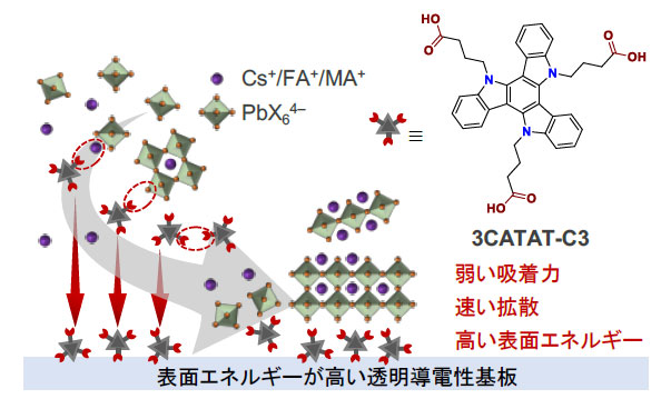 文章を入れてください