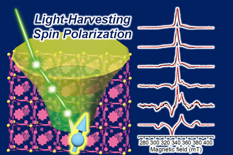 文章を入れてください