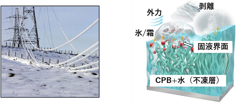 文章を入れてください