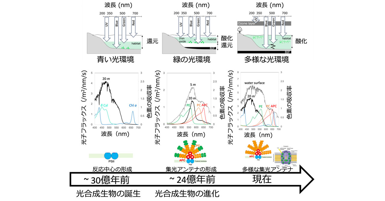 文章を入れてください