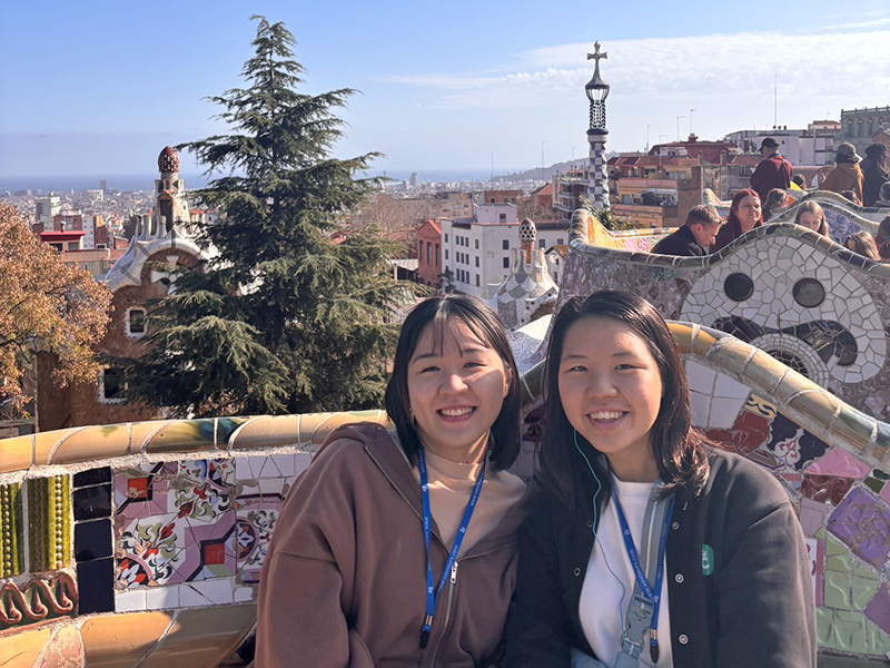 文章を入れてください