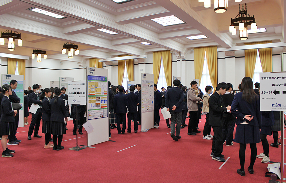 文章を入れてください