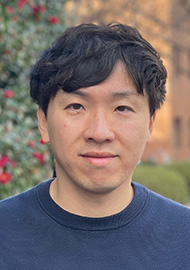 文章を入れてください