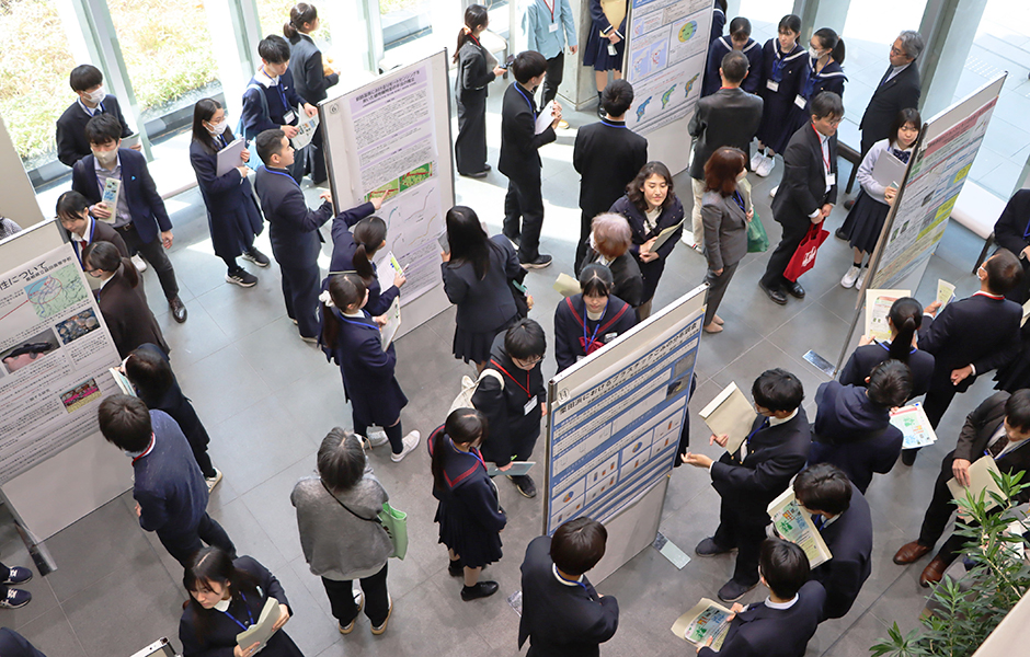 文章を入れてください