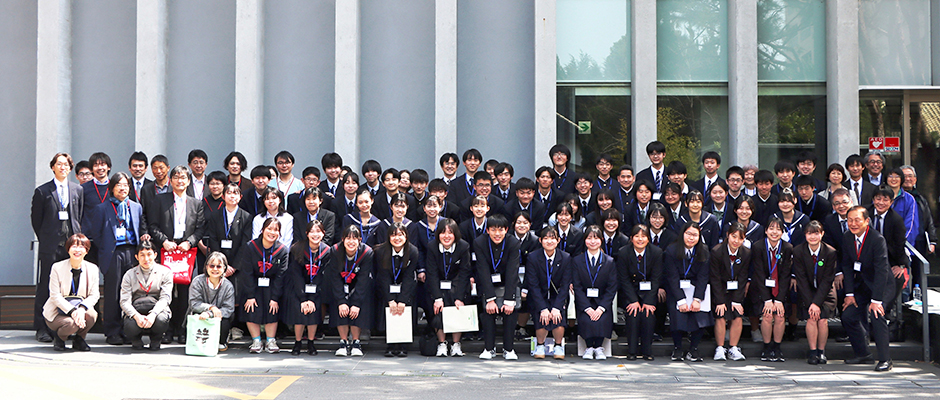 文章を入れてください