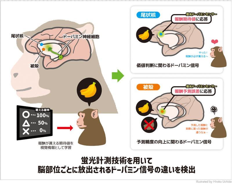 文章を入れてください