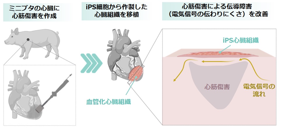 文章を入れてください