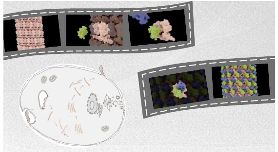 文章を入れてください