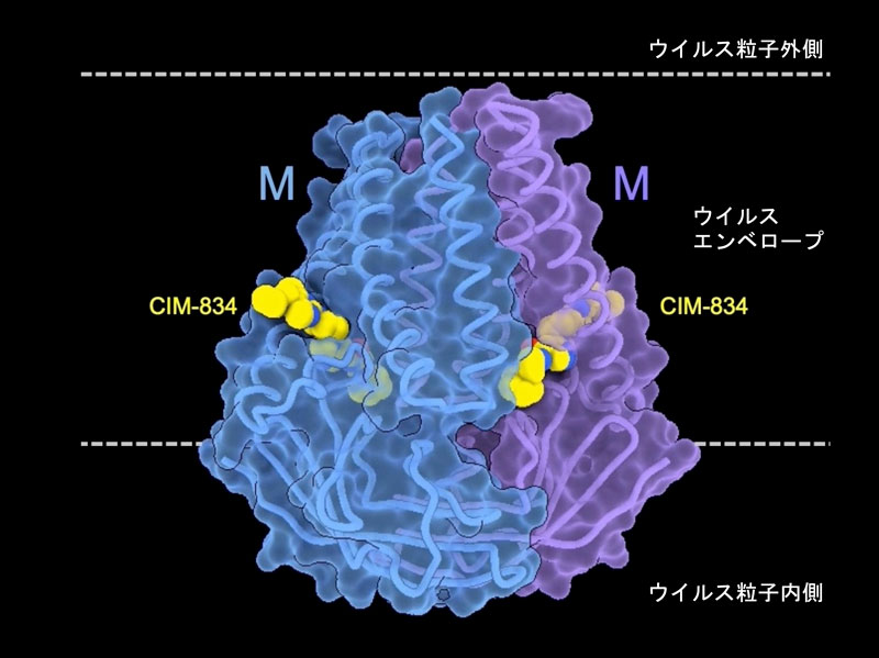 文章を入れてください