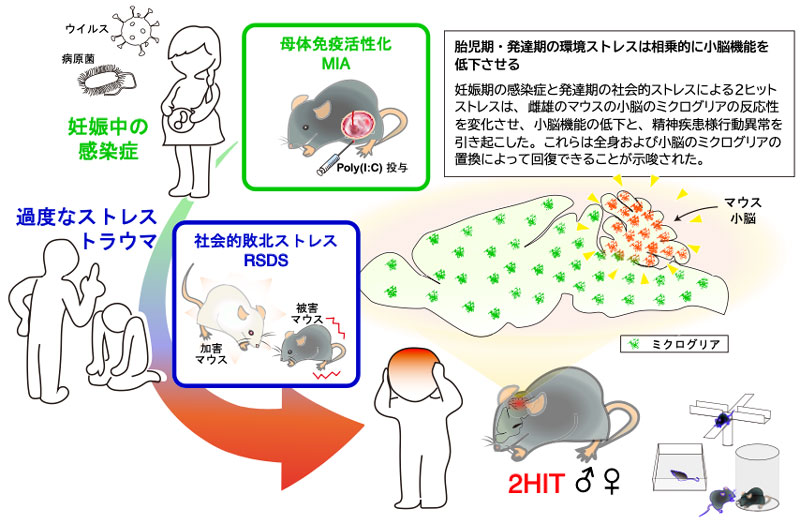 文章を入れてください