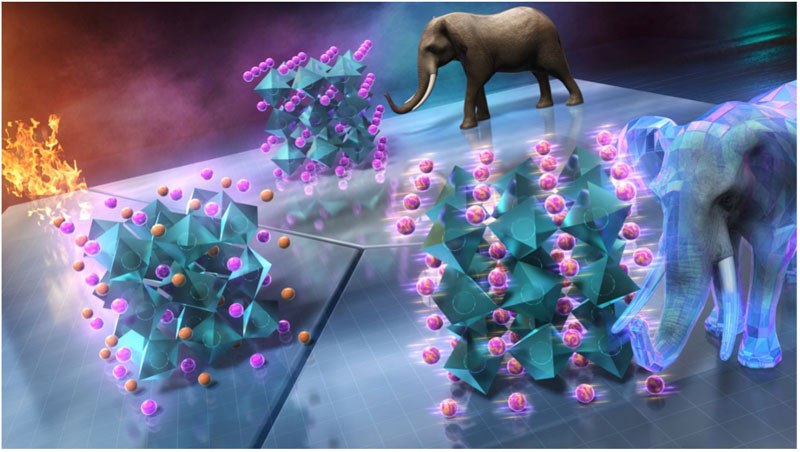 文章を入れてください