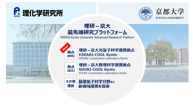 文章を入れてください