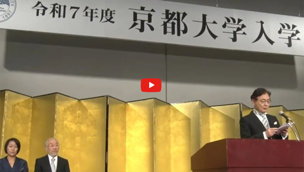 文章を入れてください