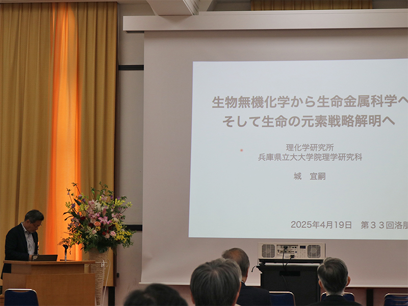 文章を入れてください