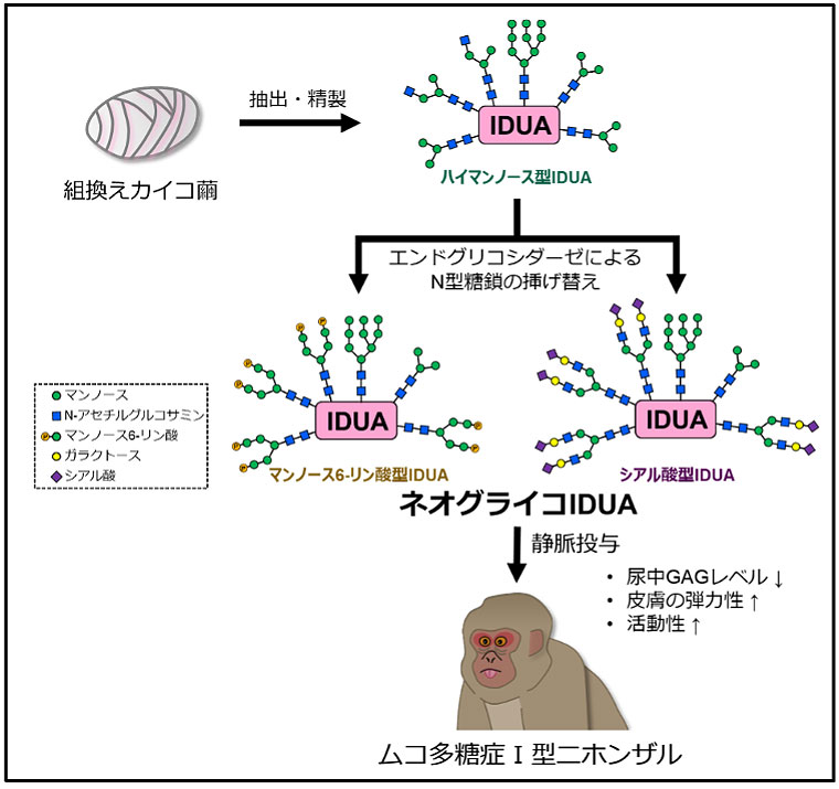 文章を入れてください