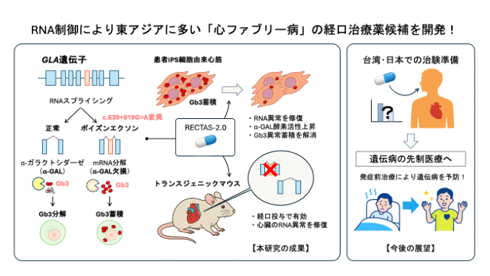 文章を入れてください