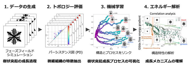 文章を入れてください