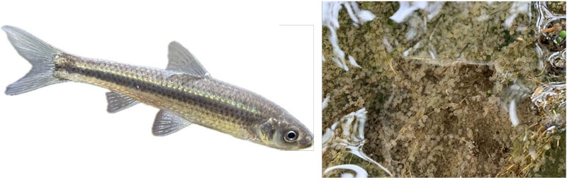 文章を入れてください