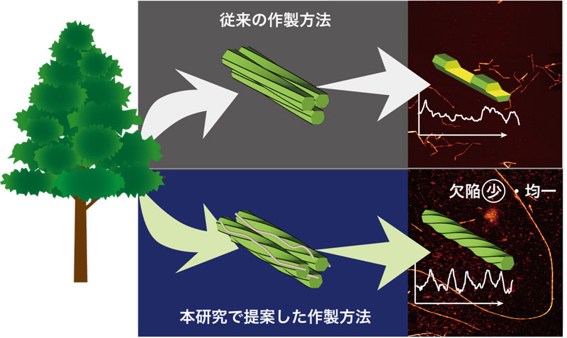文章を入れてください