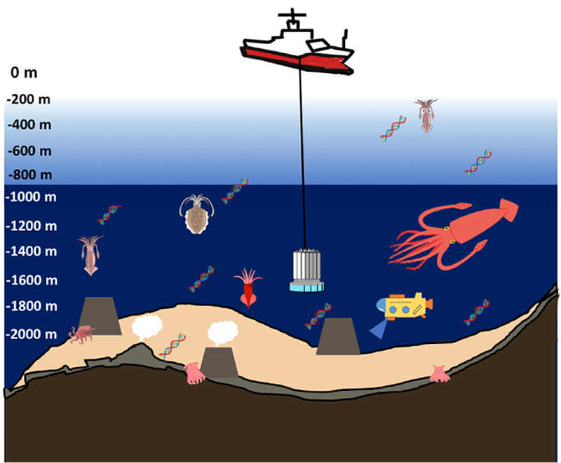 文章を入れてください