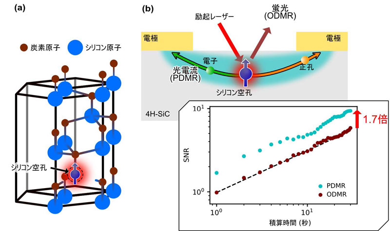 文章を入れてください