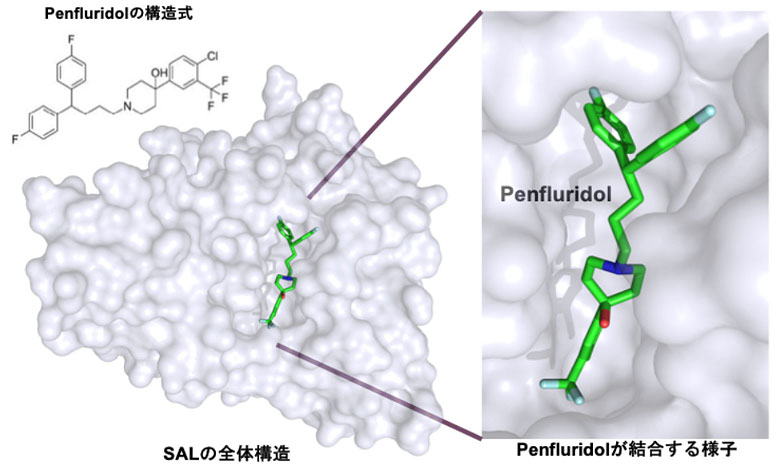 文章を入れてください