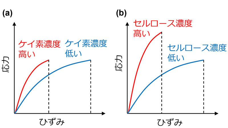 文章を入れてください