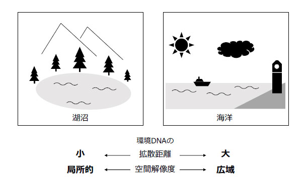 文章を入れてください