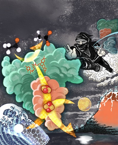 文章を入れてください