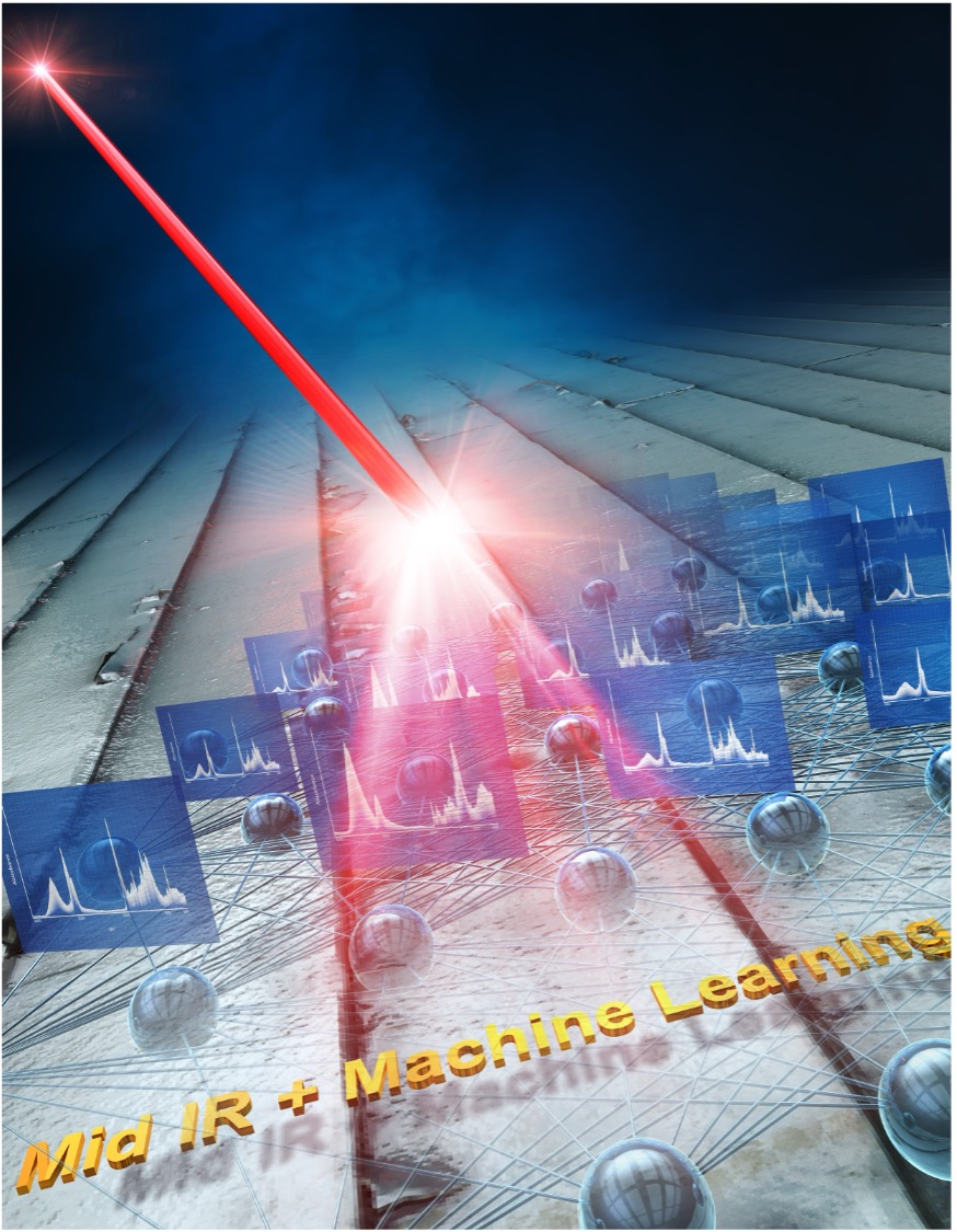 文章を入れてください