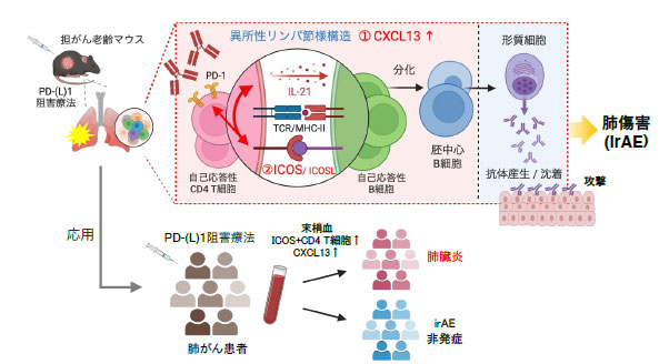 文章を入れてください