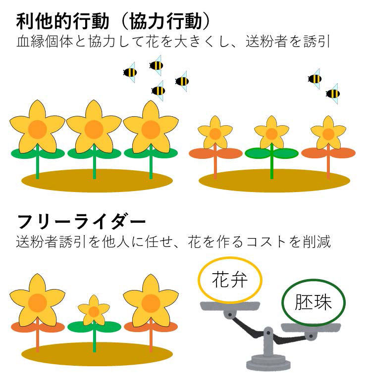 文章を入れてください