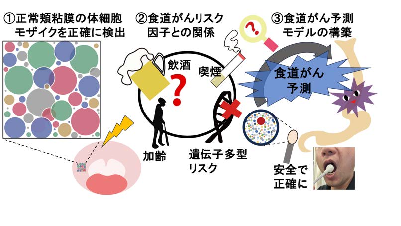 文章を入れてください