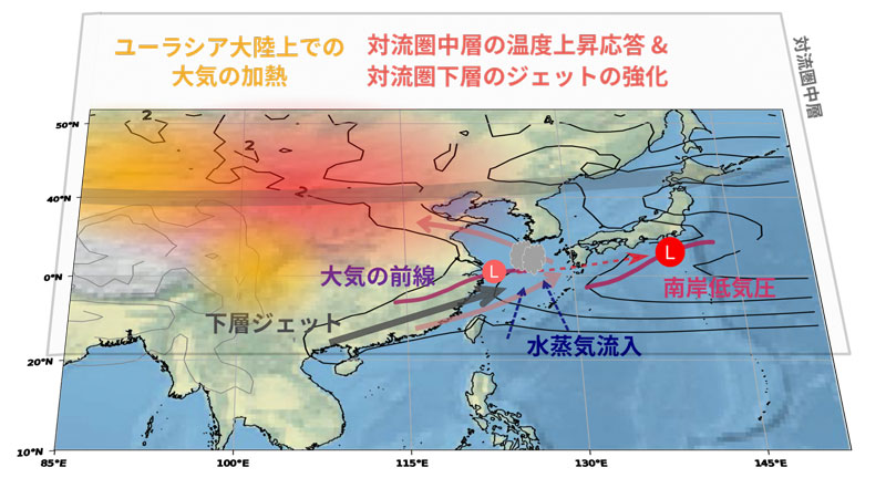 文章を入れてください