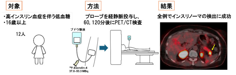文章を入れてください
