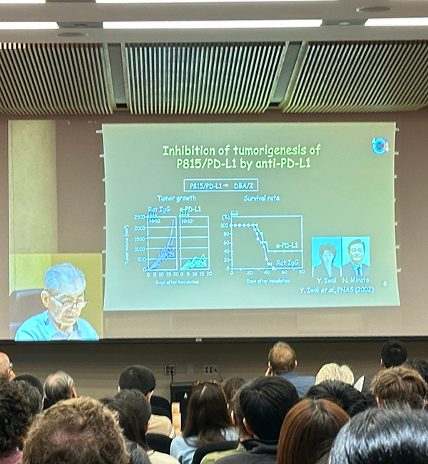 文章を入れてください