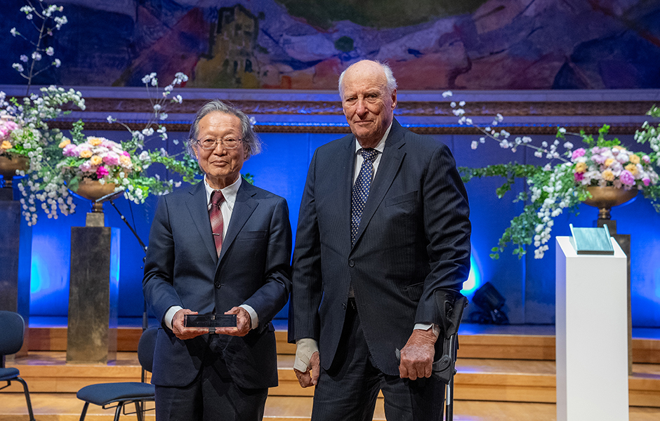 文章を入れてください