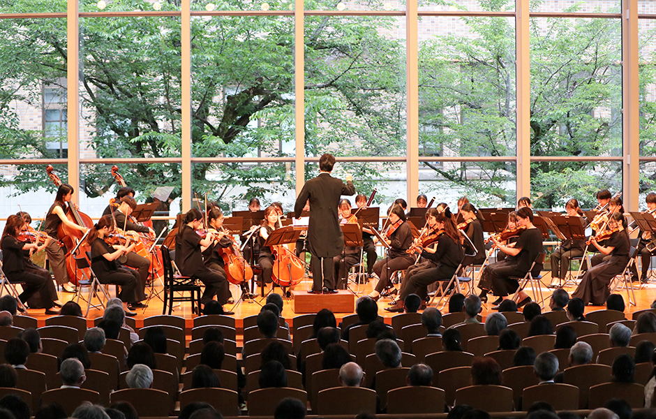 文章を入れてください