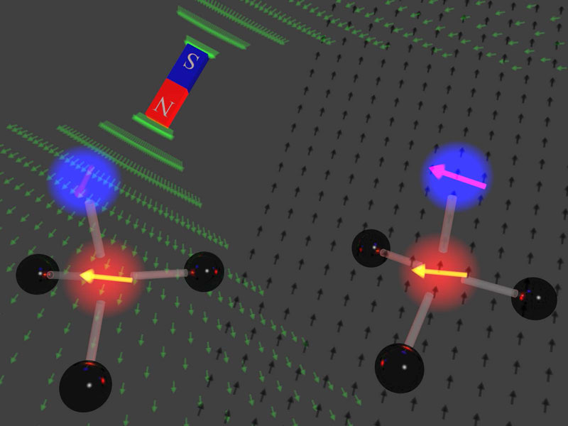 文章を入れてください