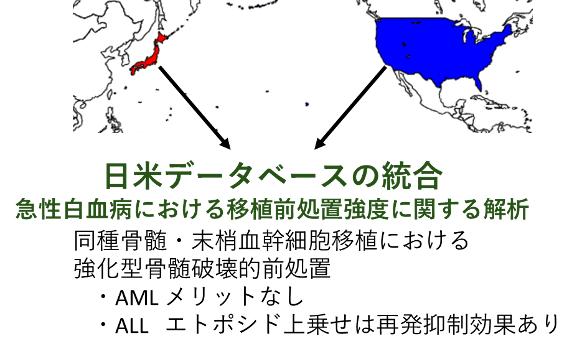 文章を入れてください