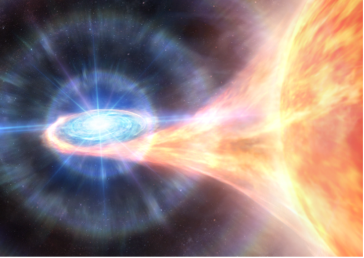 文章を入れてください