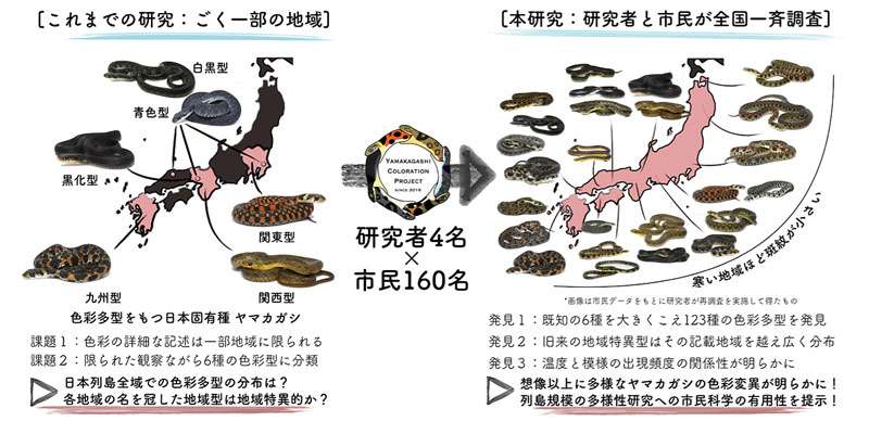 文章を入れてください