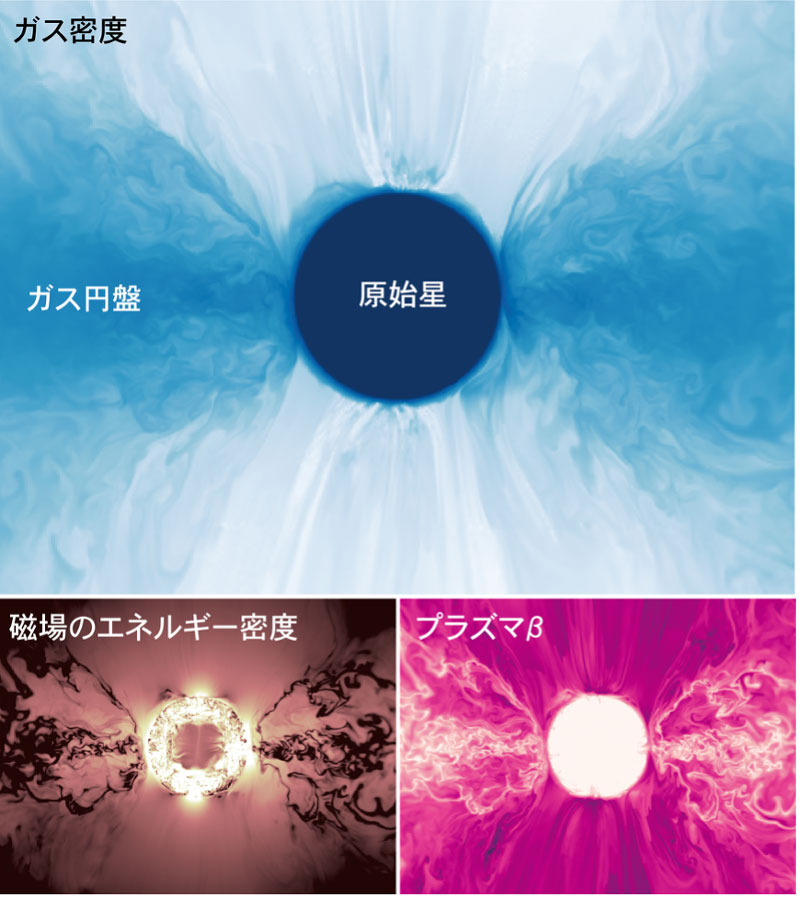 文章を入れてください